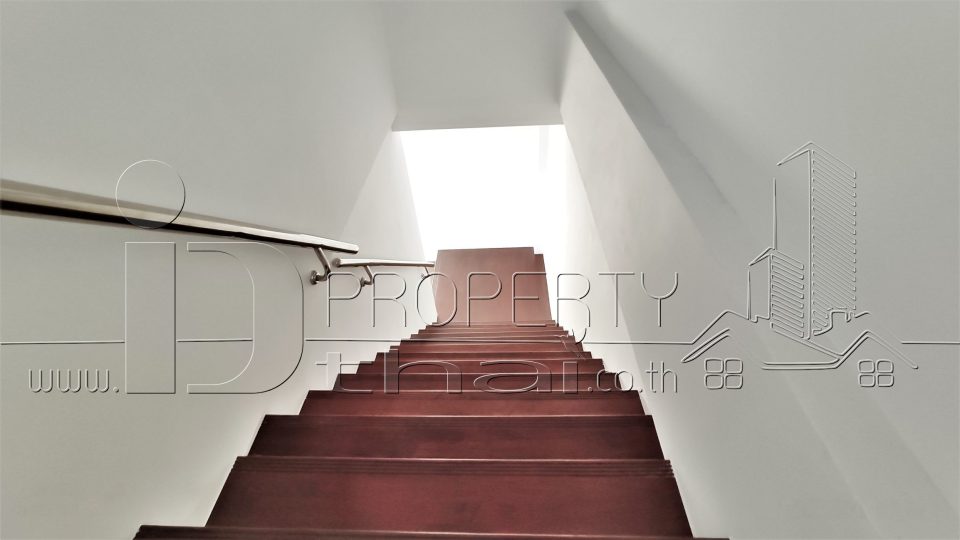 TO1912301246 (10)