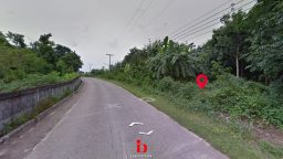 messageImage_1635838460021_result