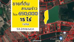 6_result