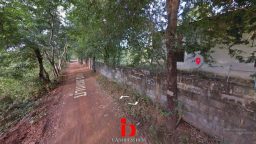 messageImage_1624679705492_result