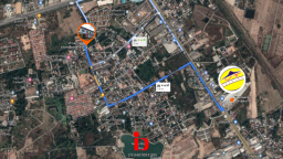 cp1