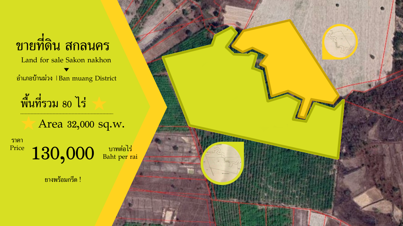 ?ขายที่ดิน อ.บ้านม่วง สกลนคร ?- Land for sale Ban Muang district Sakon Nakhon ?