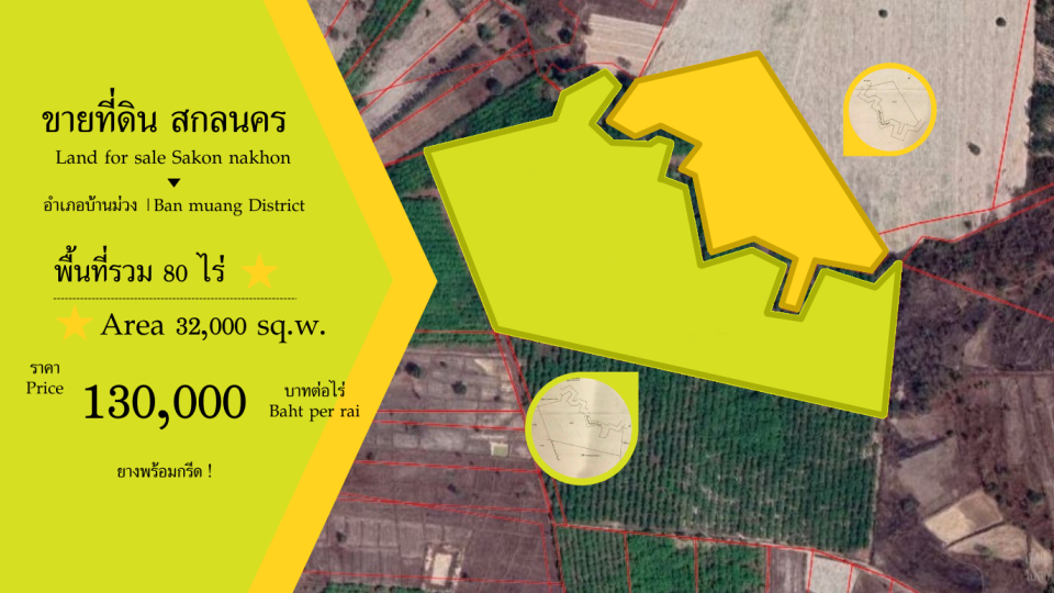 ขาย11