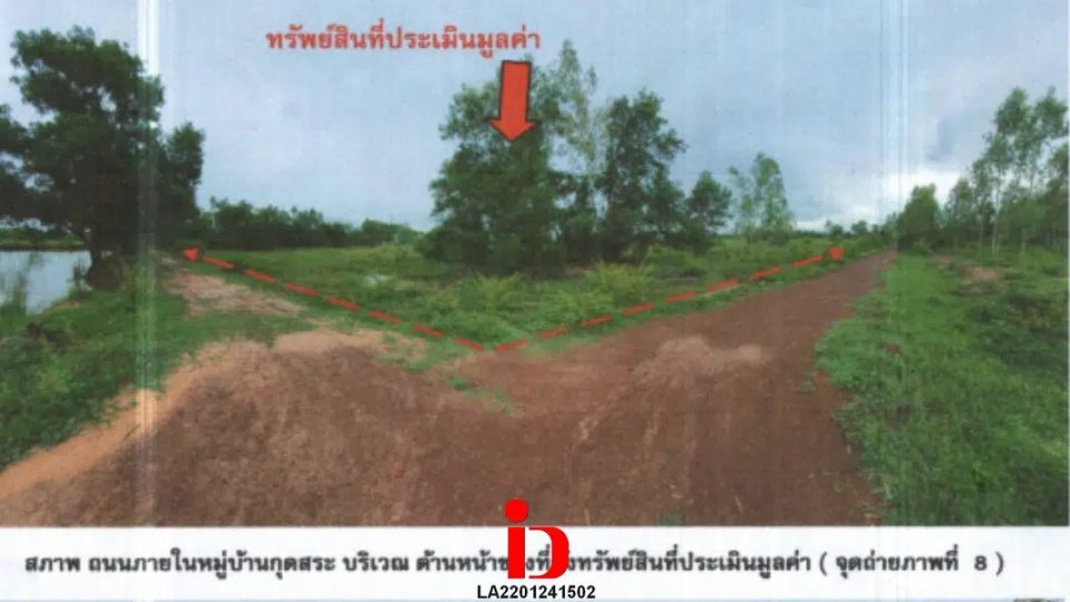 26755695-800x600