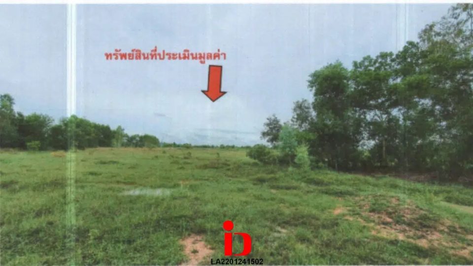 26755697-800x600