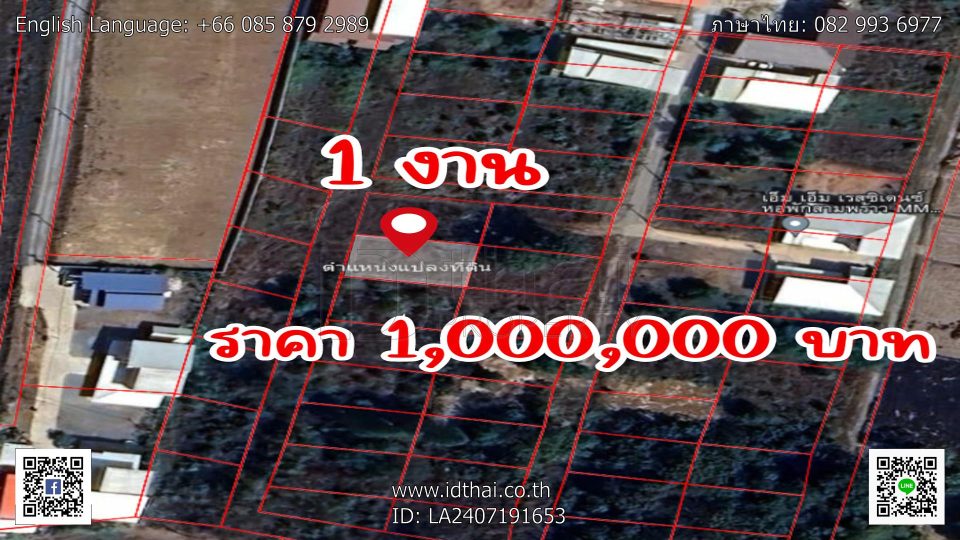LA2407191653 (1)