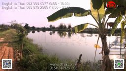 SH2409251608 (12)