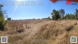 LA2501151752 (11)
