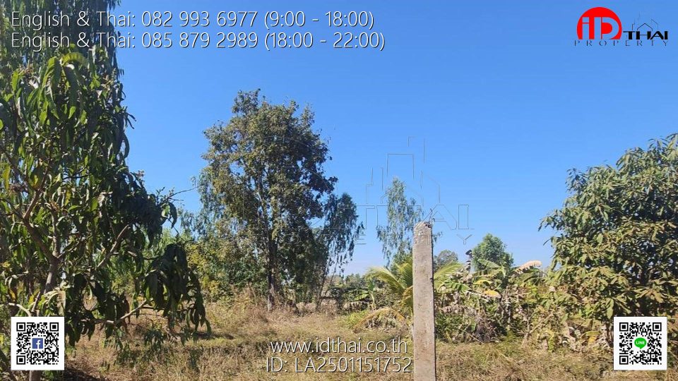 LA2501151752 (13)