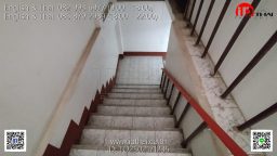 TO2502171235 (8)