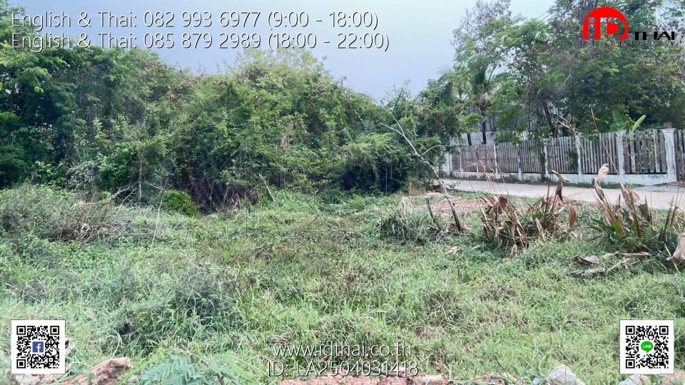 LA2504031418 (5)