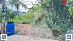 LA2504031418 (7)