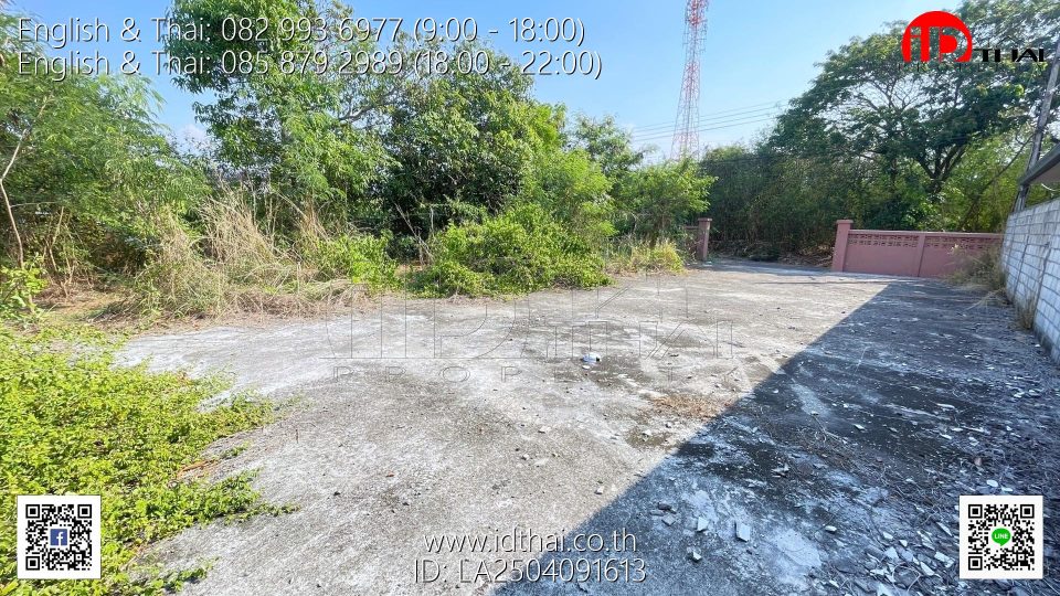 LA2504091613 (11)
