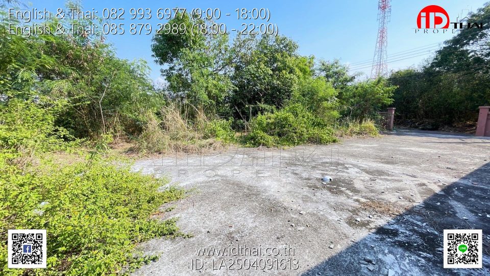 LA2504091613 (12)