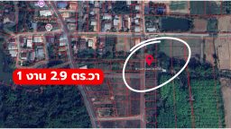 LA2505241141 (8)