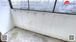 TO2511101513 (12)